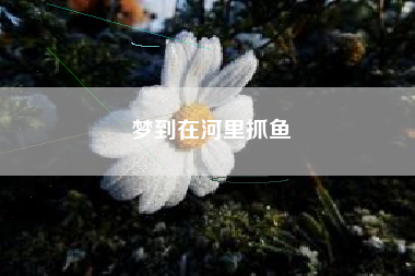 梦到在河里抓鱼