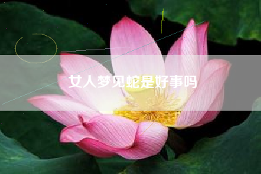 女人梦见蛇是好事吗 女人梦见蛇是好事吗