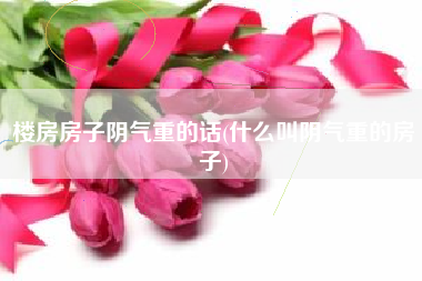 楼房房子阴气重的话(什么叫阴气重的房子)