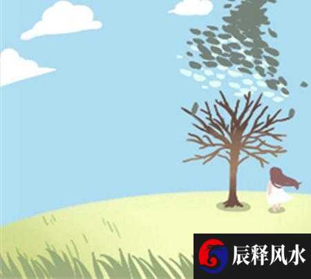 属鼠子时出生的女孩有2种命 福泽深厚大富大贵