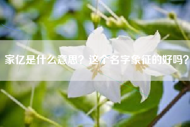 家亿是什么意思？这个名字象征的好吗？