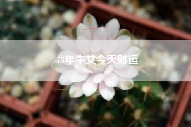 73年牛女今天财运