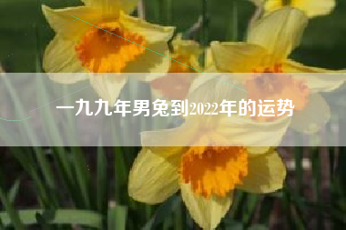 一九九年男兔到2022年的运势