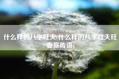 什么样的八字旺夫(什么样的八字旺夫旺妻宣传语)