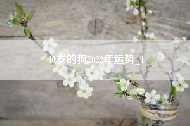 40岁的狗2022年运势_1