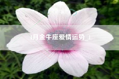4月金牛座爱情运势_1