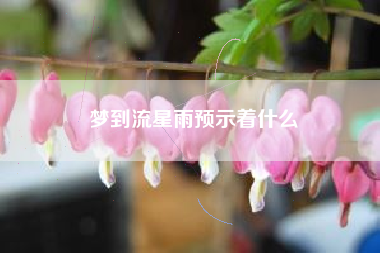 梦到流星雨预示着什么