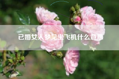 已婚女人梦见坐飞机什么意思