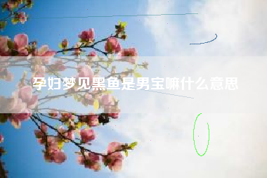 孕妇梦见黑鱼是男宝嘛什么意思
