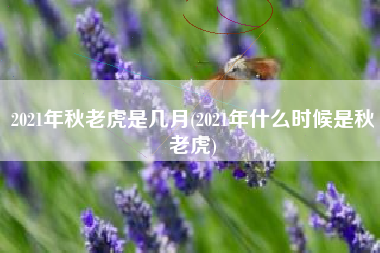 2021年秋老虎是几月(2021年什么时候是秋老虎)