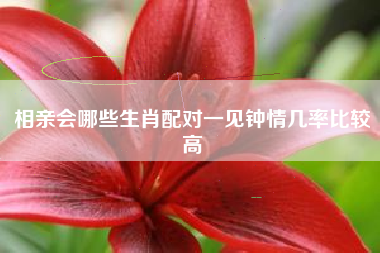 相亲会哪些生肖配对一见钟情几率比较高