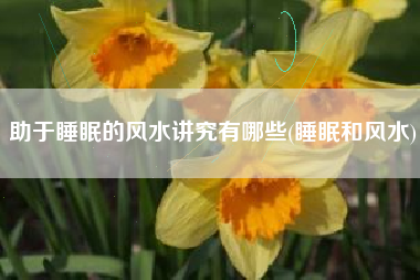 助于睡眠的风水讲究有哪些(睡眠和风水)