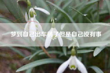 梦到自己出车祸了但是自己没有事
