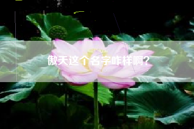 傲天这个名字咋样啊？