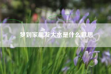 梦到家里发大水是什么意思