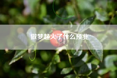 做梦起火了什么预兆
