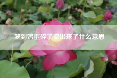 梦到鸡蛋碎了流出来了什么意思