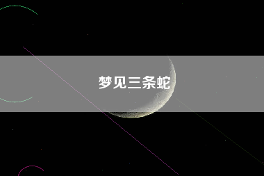 梦见三条蛇
