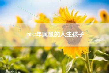 2022年属鼠的人生孩子