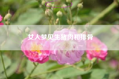 女人梦见生猪肉和排骨
