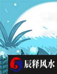 适合信息技术公司的名字