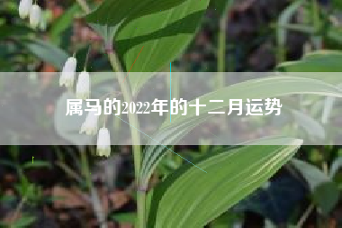 属马的2022年的十二月运势