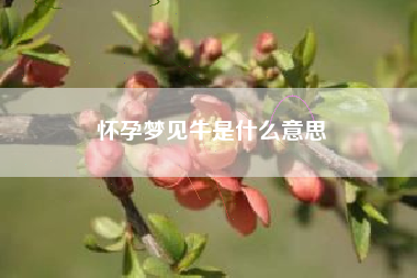 怀孕梦见牛是什么意思