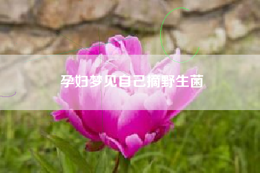孕妇梦见自己摘野生菌