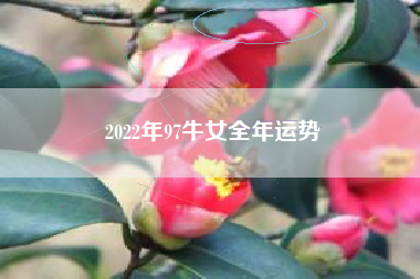 2022年97牛女全年运势