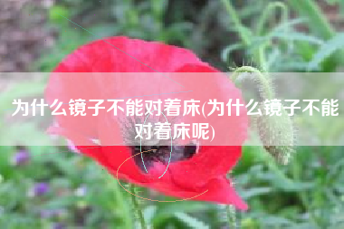 为什么镜子不能对着床(为什么镜子不能对着床呢)