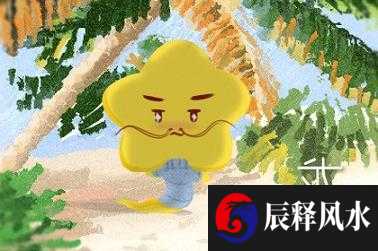 面相分析