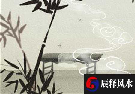 面相分析