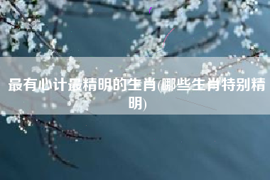 最有心计最精明的生肖(哪些生肖特别精明)