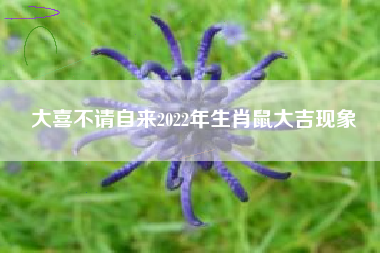大喜不请自来2022年生肖鼠大吉现象