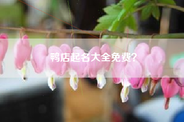 鸭店起名大全免费？
