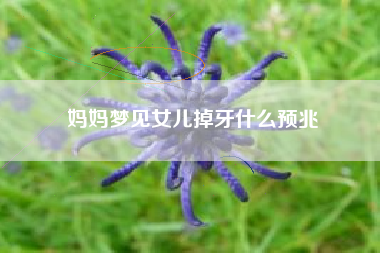 妈妈梦见女儿掉牙什么预兆