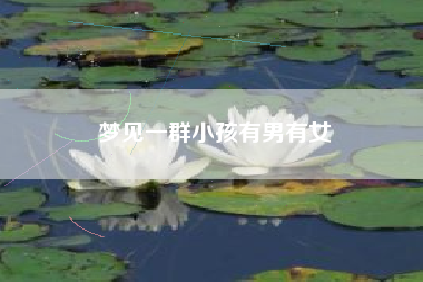 梦见一群小孩有男有女