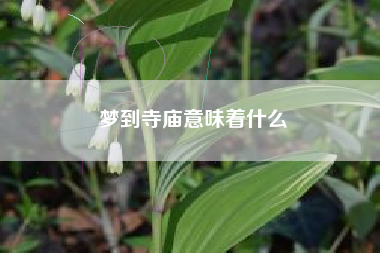 梦到寺庙意味着什么