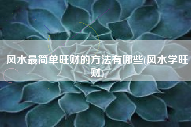 风水最简单旺财的方法有哪些(风水学旺财)