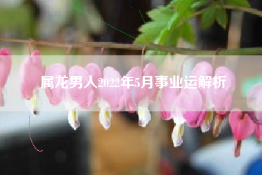 属龙男人2022年5月事业运解析