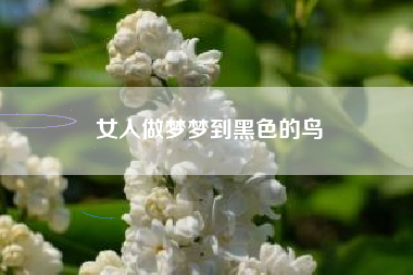 女人做梦梦到黑色的鸟