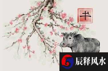有创意的建筑公司名字