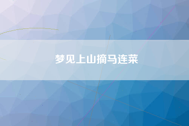 梦见上山摘马连菜