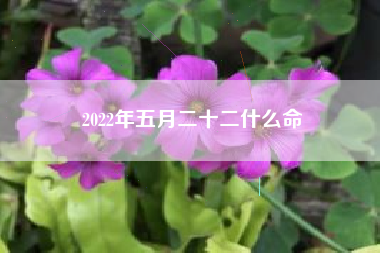 2022年五月二十二什么命