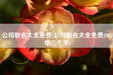 公司取名大全免费(公司取名大全免费2021年三个字)