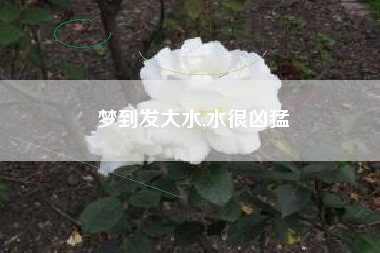 梦到发大水,水很凶猛