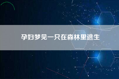 孕妇梦见一只在森林里逃生