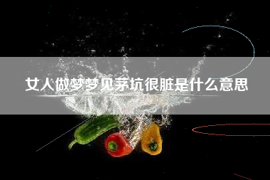 女人做梦梦见茅坑很脏是什么意思