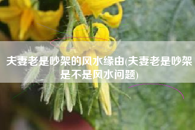 夫妻老是吵架的风水缘由(夫妻老是吵架是不是风水问题)