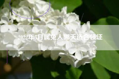 2022年5月属兔人哪天适合领证